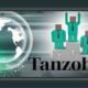 Tanzohub: Empowering Tech Enthusiasts through Learning and Creating