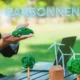 Carbonnen: The Next Big Thing in Sustainable Innovation