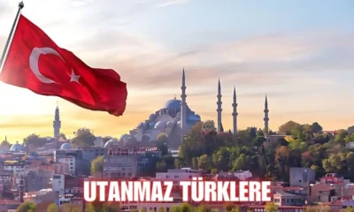 Utanmaz Türklere: The Impact of Utanmaz Türklere on Society