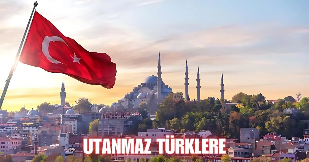 Utanmaz Türklere: The Impact of Utanmaz Türklere on Society