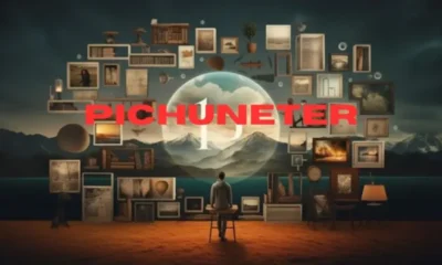 Pichuneter: A Deep Dive into the Emerging Phenomenon