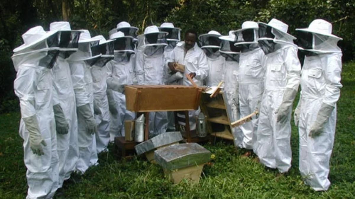 Bee Safe: How a Honey Bee Suit Protects You During Beekeeping